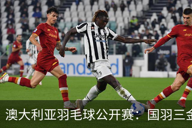 澳大利亚羽毛球公开赛：国羽三金两银收官
